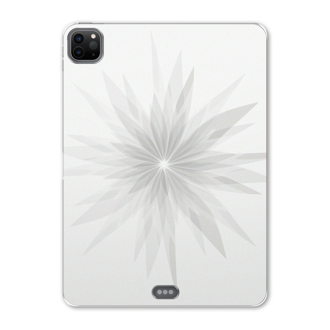 iPad Pro 12.9inch 2020発売モデル 第4世代