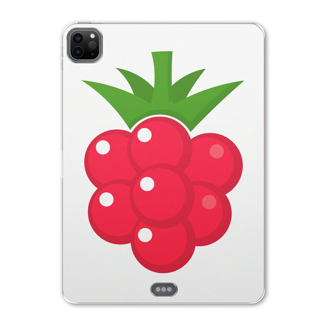 iPad Pro 12.9inch 2020発売モデル 第4世代