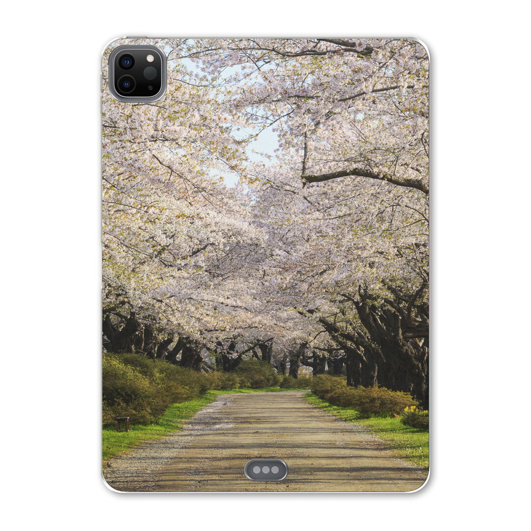 iPad Pro 12.9inch 2020発売モデル 第4世代