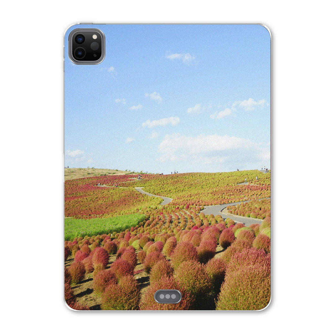 iPad Pro 12.9inch 2020発売モデル 第4世代