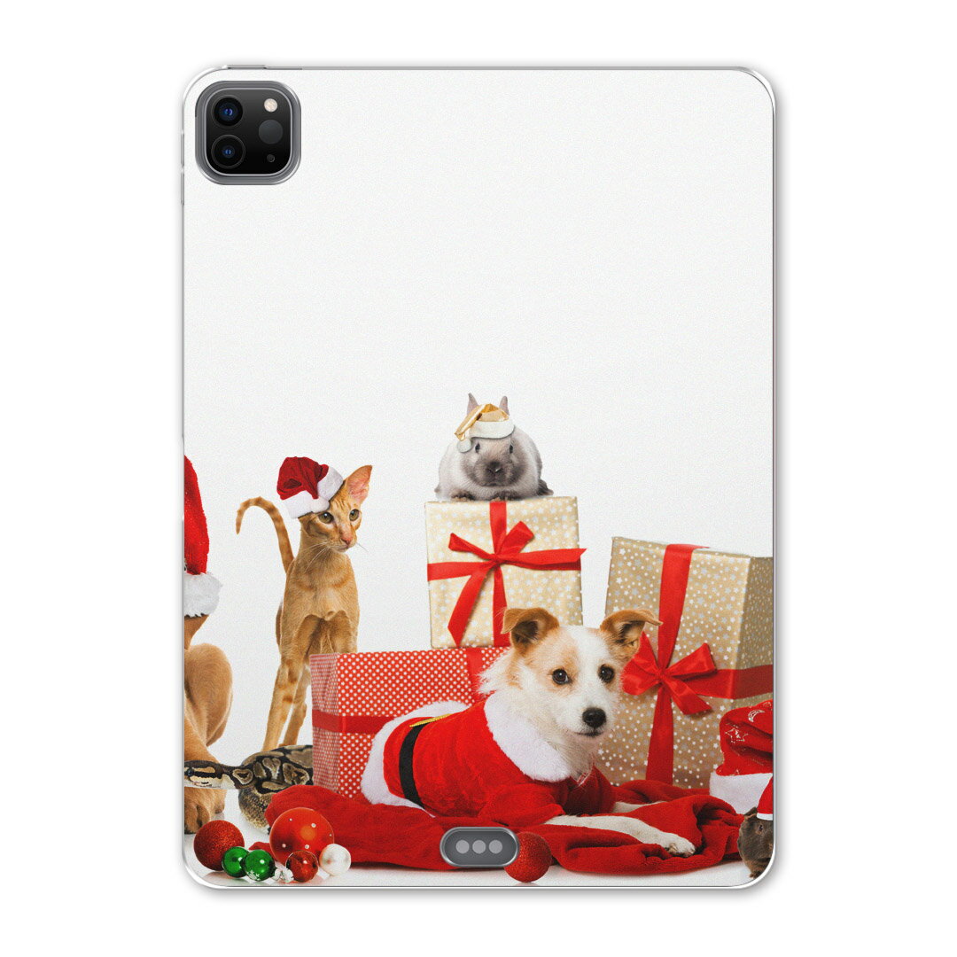 iPad Pro 12.9inch 2020発売モデル 第4世代