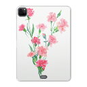 iPad Pro 11 第2世代 2020年版 用 ケース ソフト TPUケース A2228 A2068 A2230 対応 タブレットケース タブレットカバー ...