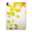 iPad Pro 11inch 第1世代 2018年 アイパッドプロ 11インチ タブレットケース タブレットカバー TPU ソフトケース A1980 A2013 A1934 A1979 001279 紅葉 秋 銀杏