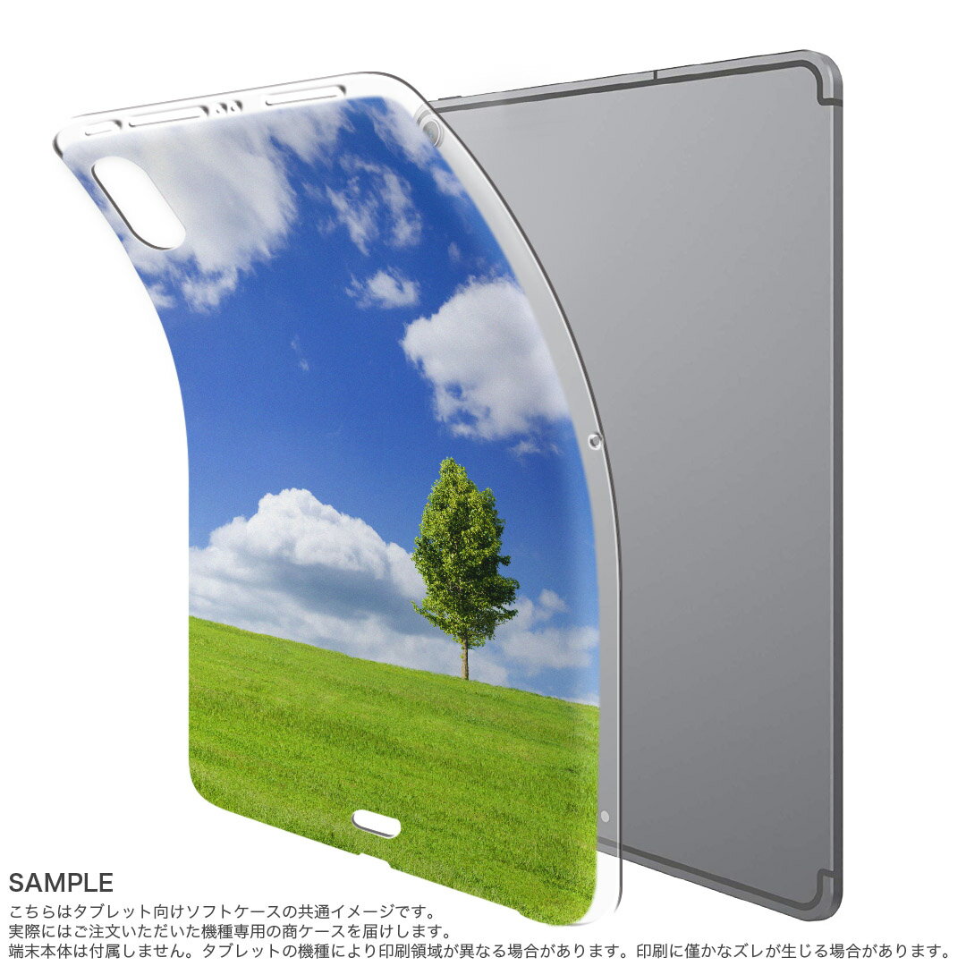 iPad Pro 12.9 第3世代 2019年版 用 ケース ソフト TPUケース A1876 A2014 A1895 対応 タブレットケース タブレットカバー 005883 写真・風景 写真　空　草原