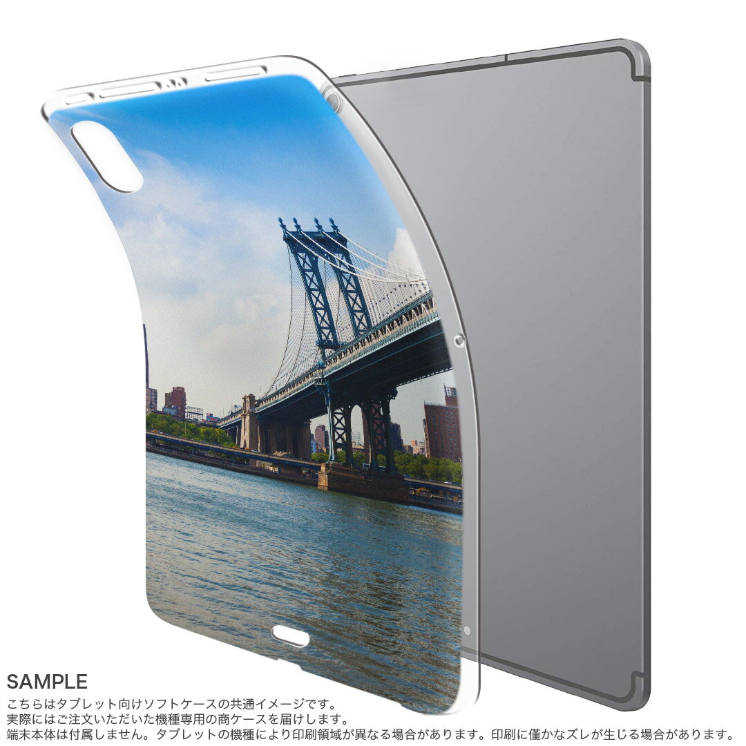 iPad Pro 12.9 第3世代 2019年版 用 ケース ソフト TPUケース A1876 A2014 A1895 対応 タブレットケース タブレットカバー 010804 外国　風景　写真