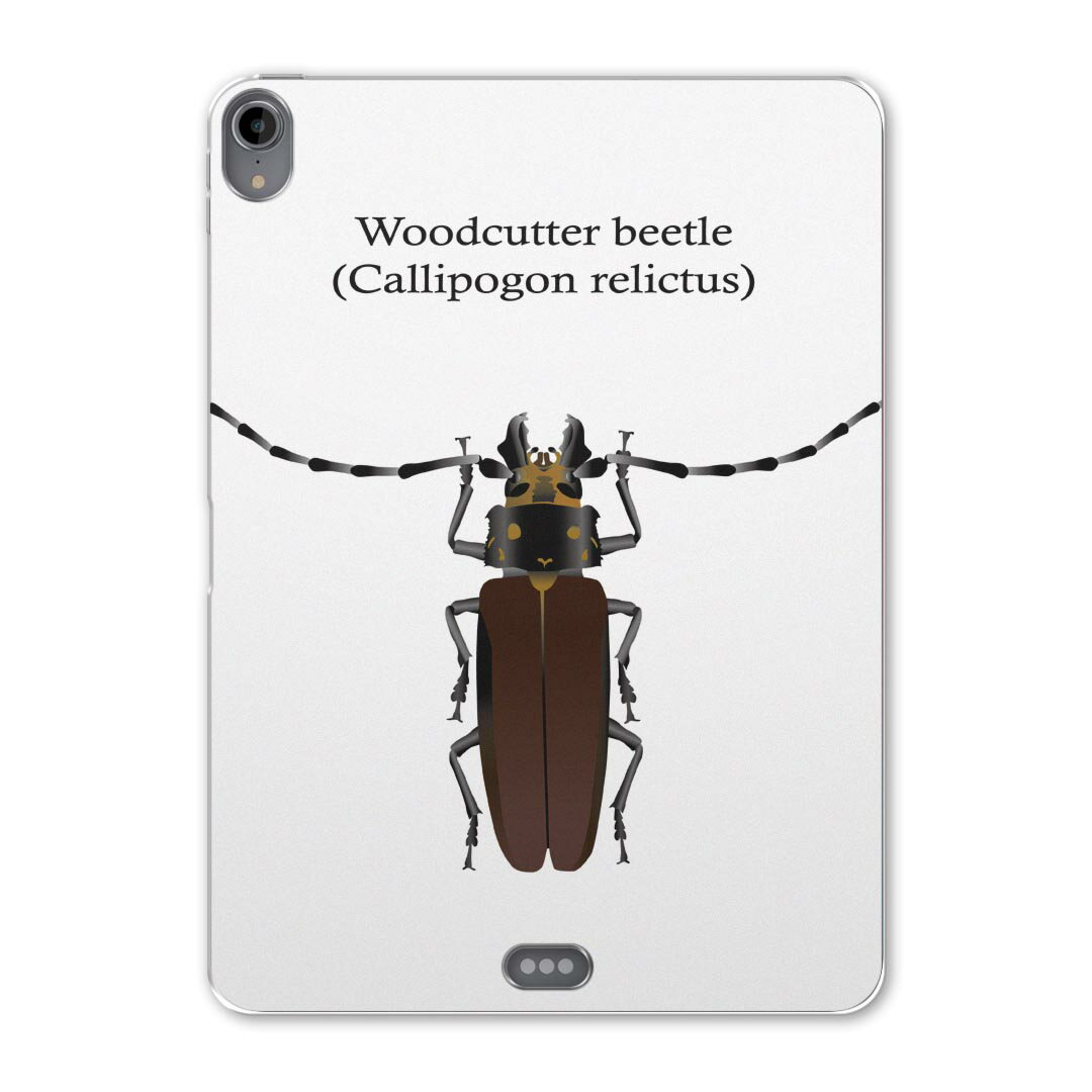 iPad Pro 11 第1世代 2018年版 用 ケース ソフト TPUケース A1980 A2013 A1934 対応 タブレットケース ..