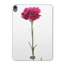 iPad Pro 11inch 第1世代 2018年 アイパッドプロ 11インチ タブレットケース タブレットカバー TPU ソフトケース A1980 A201...