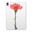 iPad Pro 11inch 第1世代 2018年 アイパッドプロ 11インチ タブレットケース タブレットカバー TPU ソフトケース A1980 A201...