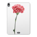iPad Pro 11inch 第1世代 2018年 アイパッドプロ 11インチ タブレットケース タブレットカバー TPU ソフトケース A1980 A201...