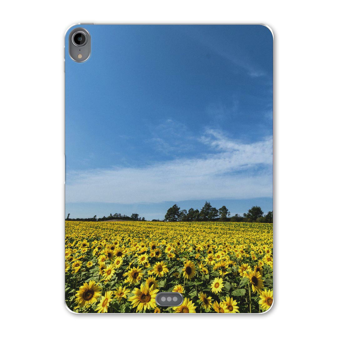 iPad Pro 11inch 第1世代 2018年 アイパッドプロ 11インチ タブレットケース タブレットカバー TPU ソフトケース A1980 A2013 A1934 A1979 015740 ひまわり 花 景色 写真