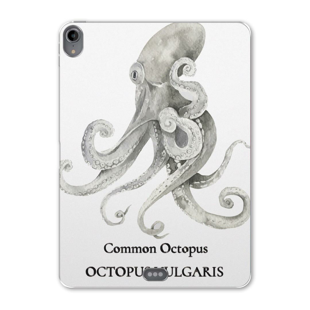 iPad Pro 11 第1世代 2018年版 用 ケース ソフト TPUケース A1980 A2013 A1934 対応 タブレットケース ..