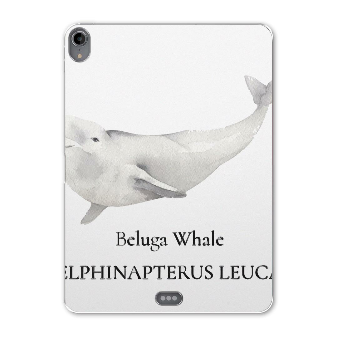 iPad Pro 11 第1世代 2018年版 用 ケース ソフト TPUケース A1980 A2013 A1934 対応 タブレットケース タブレットカバー 019747 デザイン 海の生物 シロイルカ beluga whale