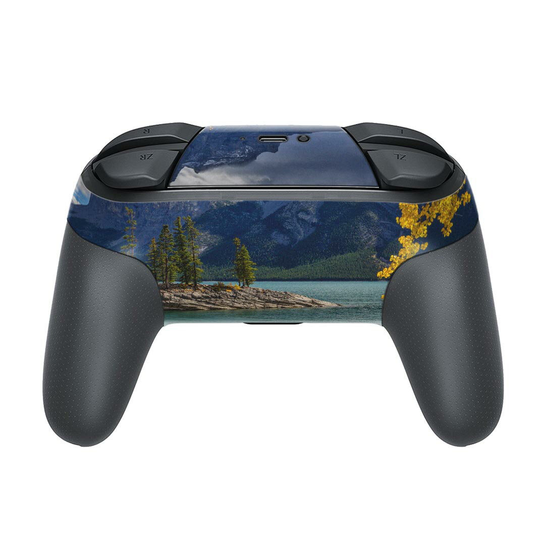 Nintendo Switch 用 PROコントローラ 専用 ニンテンドー スイッチ プロコン 専用 デザインスキンシール 全面セット カバー ケース 保護 フィルム ステッカー デコ アクセサリー 023486 景色　写真