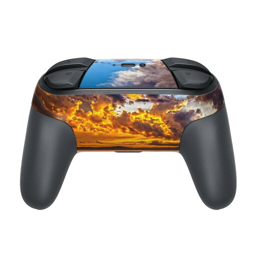 Nintendo Switch 用 PROコントローラ 専用 ニンテンドー スイッチ プロコン 専用 デザインスキンシール 全面セット カバー ケース 保護 フィルム ステッカー デコ アクセサリー 023765 夕日 写真 景色