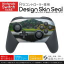 Nintendo Switch 用 PROコントローラ 専用 ニンテンドー スイッチ プロコン 専用 デザインスキンシール 全面セット カバー ケース 保護 フィルム ステッカー デコ アクセサリー 023061 自然 山 湖 景色(2)