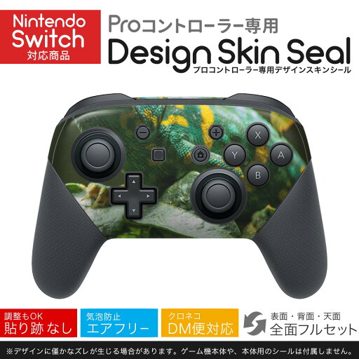 Nintendo Switch 用 PROコントローラ 専用 ニンテンドー スイッチ プロコン 専用 デザインスキンシール 全面セット カバー ケース 保護 フィルム ステッカー デコ アクセサリー 023102 イグアナ 写真 生き物 Nintendo Switch 用 PROコントローラ 専用 ニンテンドー スイッチ プロコン 専用 デザインスキンシール 全面セット カバー ケース 保護 フィルム ステッカー デコ アクセサリー 023102 イグアナ 写真 生き物