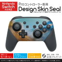 Nintendo Switch 用 PROコントローラ 専用 ニンテンドー スイッチ プロコン 専用 デザインスキンシール 全面セット カバー ケース 保護 フィルム ステッカー デコ アクセサリー 023239 羽根　フェザー　写真