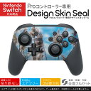 Nintendo Switch 用 PROコントローラ 専用 ニンテンドー スイッチ プロコン 専用 デザインスキンシール 全面セット カバー ケース 保護 フィルム ステッカー デコ アクセサリー 023406 写真 景色 パンパスグラス(2)