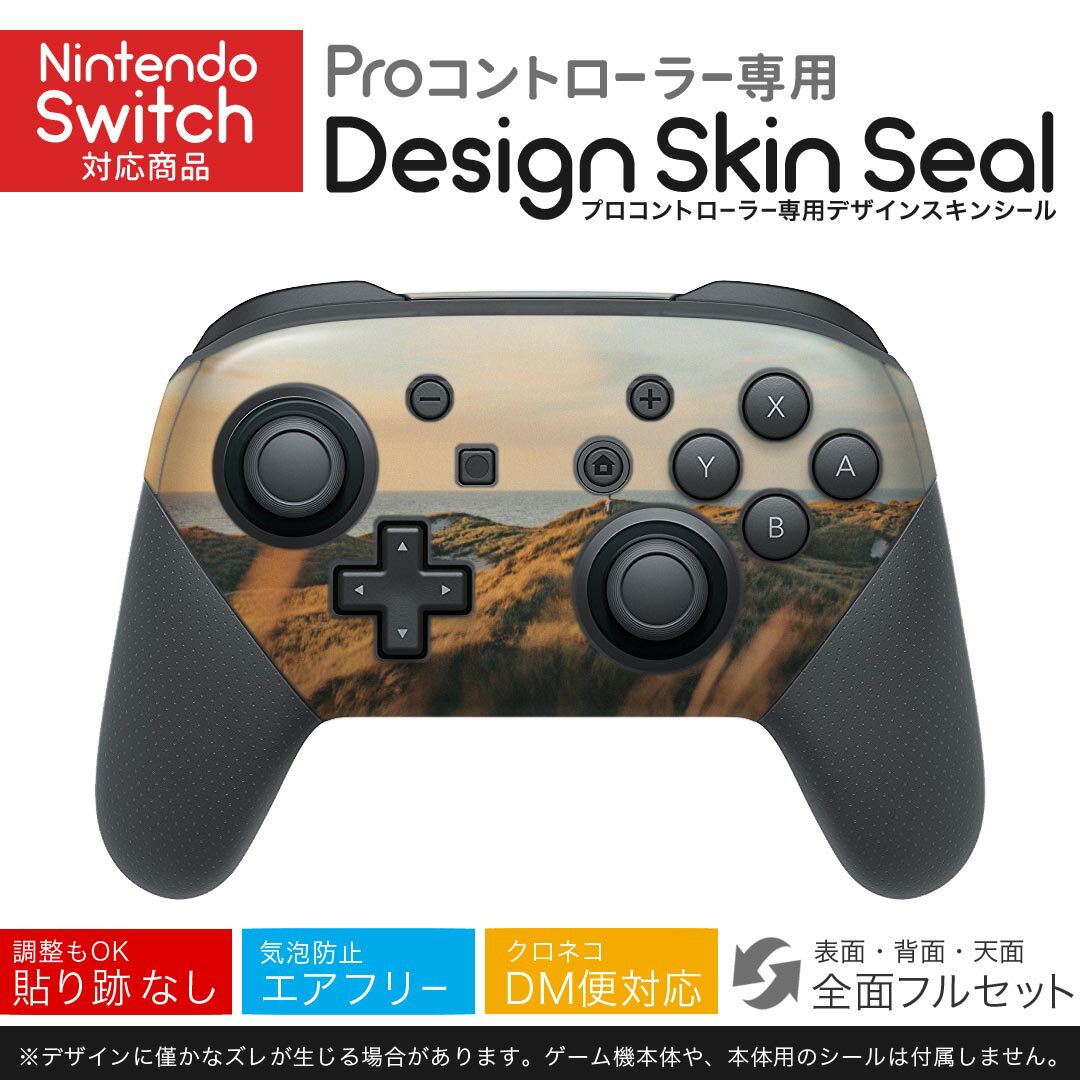 Nintendo Switch 用 PROコントローラ 専用 ニンテンドー スイッチ プロコン 専用 デザインスキンシール 全面セット カバー ケース 保護 フィルム ステッカー デコ アクセサリー 023608 景色 写真