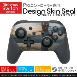 Nintendo Switch 用 PROコントローラ 専用 ニンテンドー スイッチ プロコン 専用 デザインスキンシール 全面セット カバー ケース 保護 フィルム ステッカー デコ アクセサリー 023993 ヨガ　運動　写真