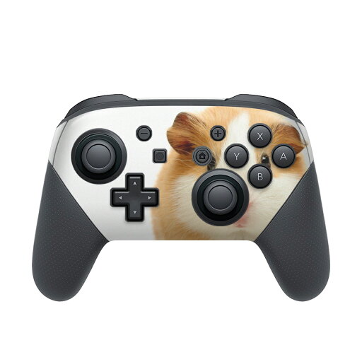 Nintendo Switch 用 PROコントローラ 専用 ニンテンドー スイッチ プロコン 専用 デザインスキンシール 全面セット カバー ケース 保護 フィルム ステッカー デコ アクセサリー 006036 アニマル 写真 動物 ハムスター Nintendo Switch 用 PROコントローラ 専用 ニンテンドー スイッチ プロコン 専用 デザインスキンシール 全面セット カバー ケース 保護 フィルム ステッカー デコ アクセサリー 006036 アニマル 写真 動物 ハムスター