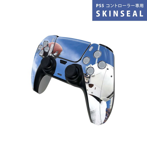 PS5用 ワイヤレスコントローラー 専用 スキンシール おしゃれなスキンシール 貼るだけでかんたんドレスアップ 気軽に着せ替えが楽しめるデザインステッカー PS5用 ワイヤレスコントローラー 専用 スキンシール おしゃれなスキンシール 貼るだけでかんたんドレスアップ 気軽に着せ替えが楽しめるデザインステッカー