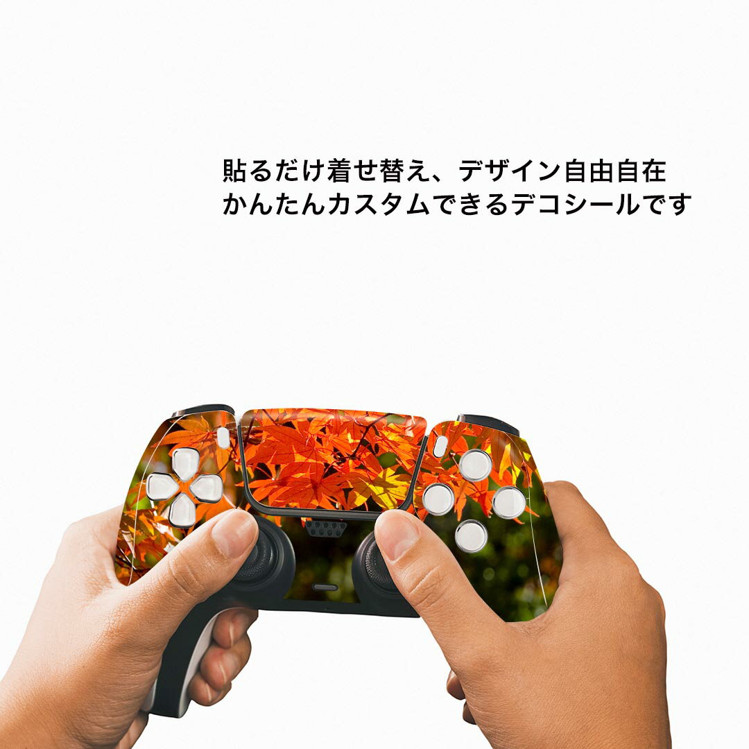 PS5用 ワイヤレスコントローラー 専用 スキンシール おしゃれなスキンシール 貼るだけでかんたんドレスアップ 気軽に着せ替えが楽しめるデザインステッカー
