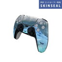 PS5用 ワイヤレスコントローラー 専用 スキンシール おしゃれなスキンシール 貼るだけでかんたんドレスアップ 気軽に着せ替えが楽しめるデザインステッカー(2)