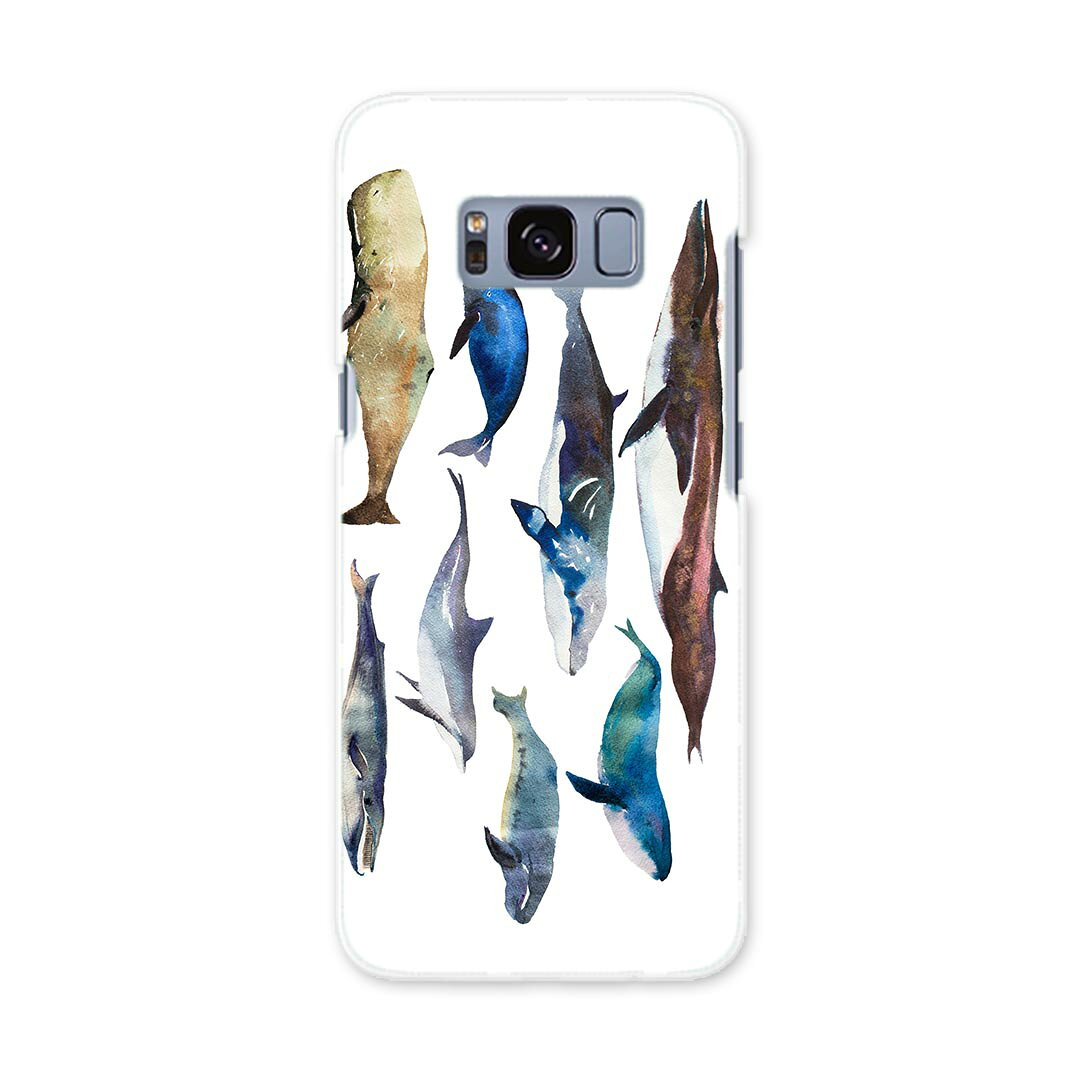 SCV36 Galaxy S8 ギャラクシー エス エイト au エーユー スマホ カバー ケース スマホケース スマホカバー PC ハードケース 015836 魚　海　くじら　シャチ
