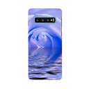 SCV42 Galaxy S10+ ギャラクシー エステンプラス au エーユー scv42 スマホ カバー ケース スマホケース スマホカバー PC ハードケース 001018 薔薇 海(2)
