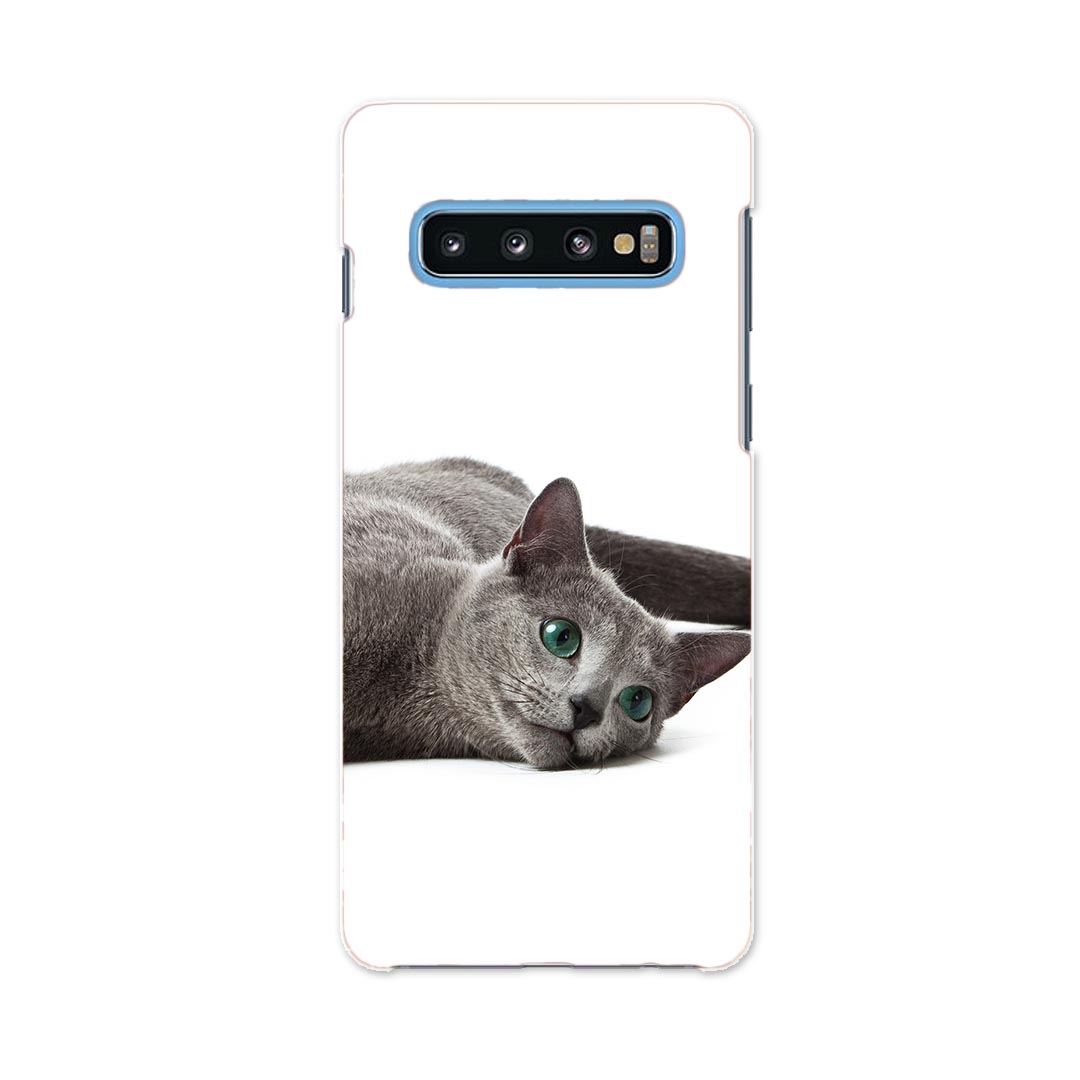 SC-04L Galaxy S10+ ギャラクシー エステンプラス docomo ドコモ sc04l スマホ カバー ケース スマホケース スマホカバー PC ハードケース 005907 写真　動物　猫　ねこ