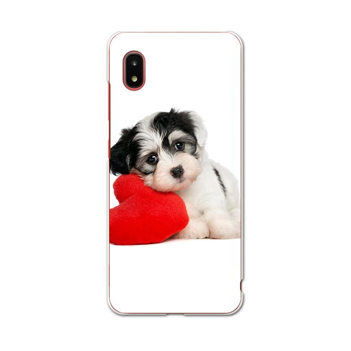 Galaxy A21 SC-42A 専用ハードケース igcase sc42a スマホカバー カバー ケース pc ハードケース 002793 アニマル 犬 動物 写真 Galaxy A21 SC-42A 専用ハードケース igcase sc42a スマホカバー カバー ケース pc ハードケース 002793 アニマル 犬 動物 写真