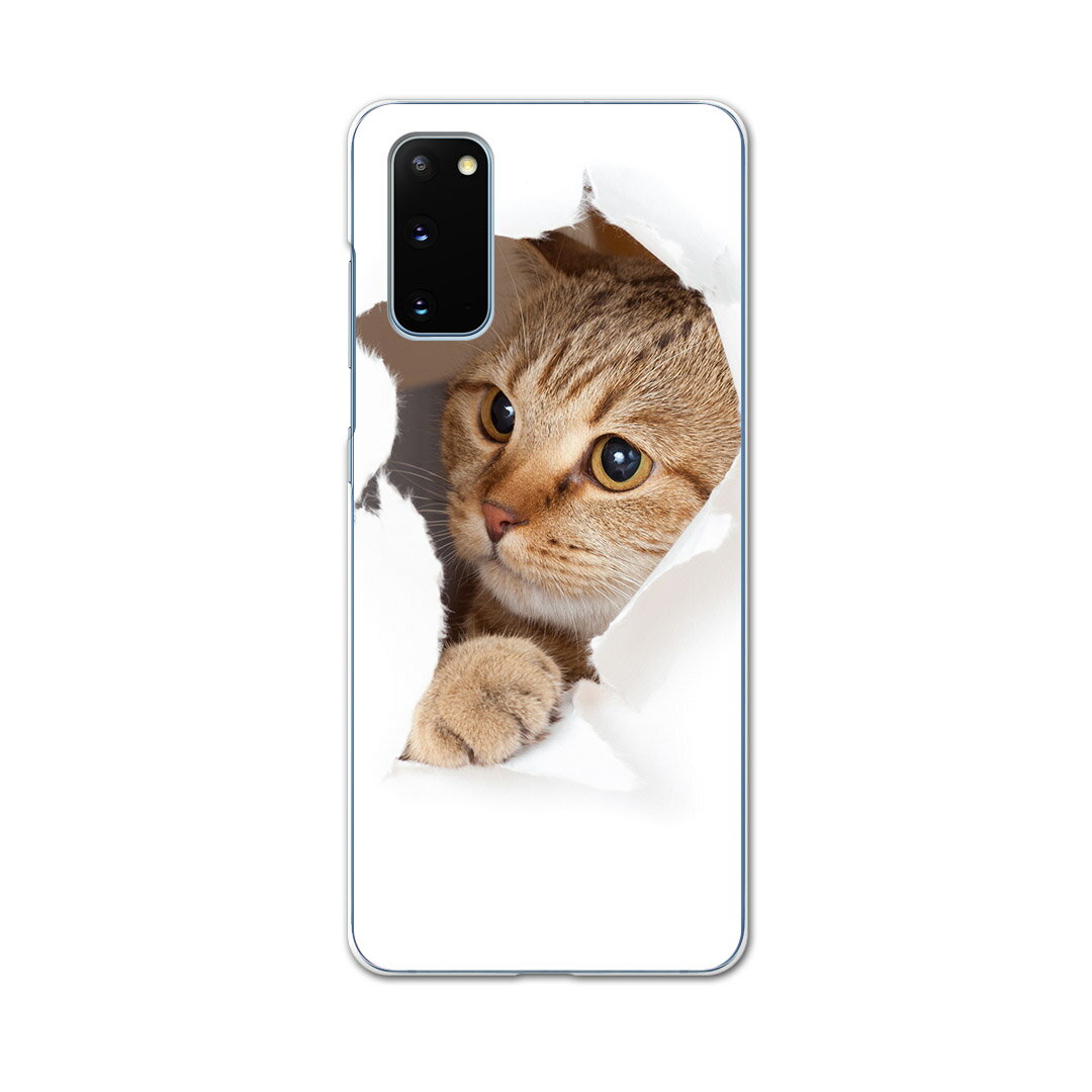 SCG01 Galaxy S20 5G ギャラクシー エストゥエンティ ファイブジー scg01 エーユー au スマホ カバー ケース スマホケース スマホカバー PC ハードケース 013566 猫　写真