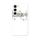 Galaxy S23 SC-51D SCG19 専用ハードケース SC-51D / SCG19 共通対応 sc51d igcase スマホカバー カバー ケース pc ハードケース 019988 お正月 お正月 文字