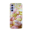 Galaxy A54 5G ギャラクシー SC-53D SCG21 専用 ケース 共通対応 sc53d igcase スマホカバー カバー ケース pc ハードケース 030584 ひなあられ ひな祭り