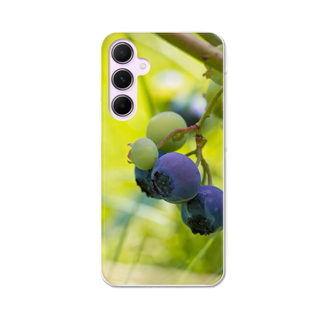 Galaxy A55 5G 用 ハードケース SC-53E / SCG27 共通対応 ケース カバー ハードケース 026025 果物　フルーツ　ブルーベリー