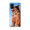 Galaxy A51 5G SC-54A 専用ハードケース igcase SC54A docom ドコモ ギャラクシー スマホカバー カバー ケース pc ハードケース 004542 写真・風景 シーサー 沖縄 写真