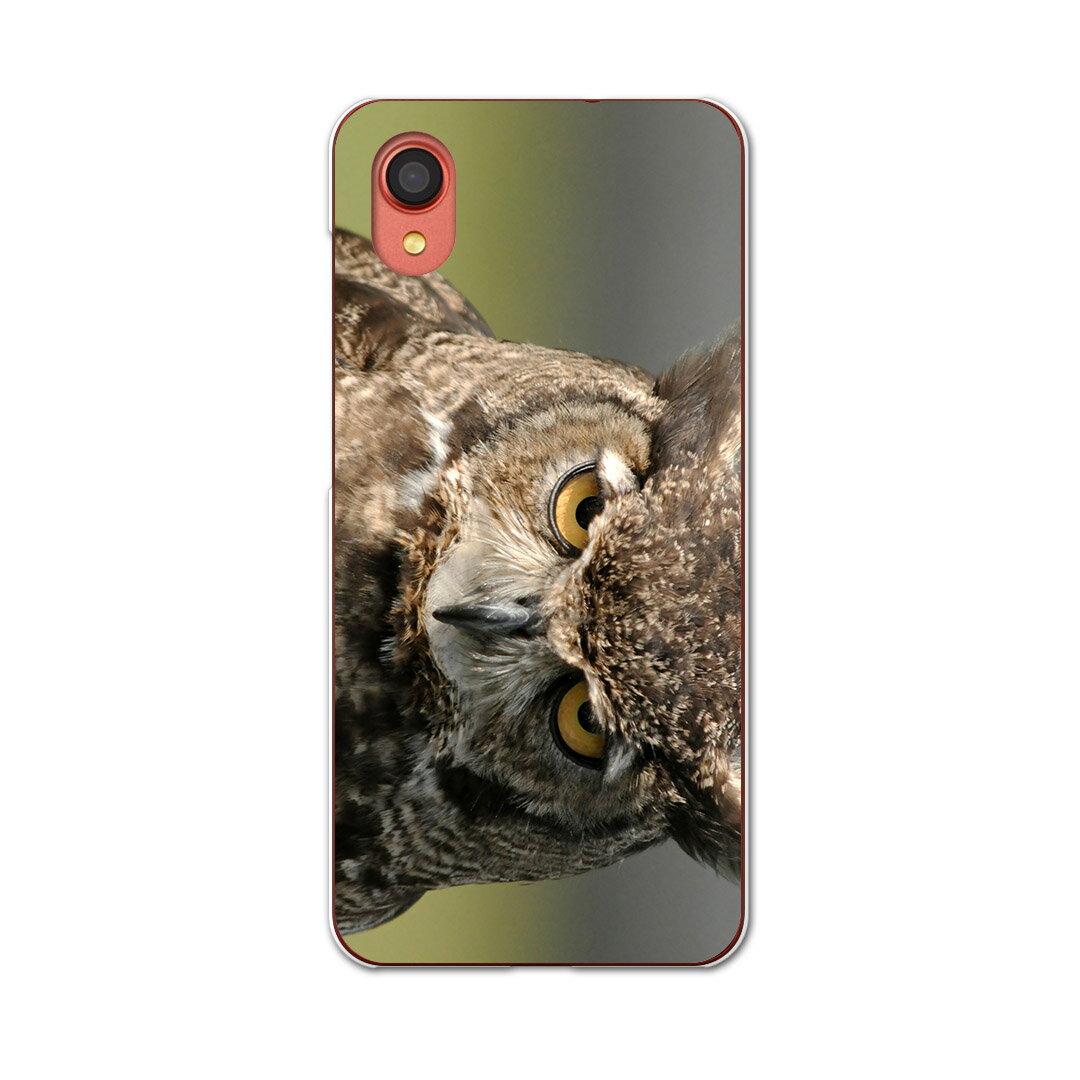 Galaxy A22 5G SC-56B 用 ハードケース SC56B igcase スマホカバー カバー ケース pc ハードケース 016308 フクロウ　写真(2.0)