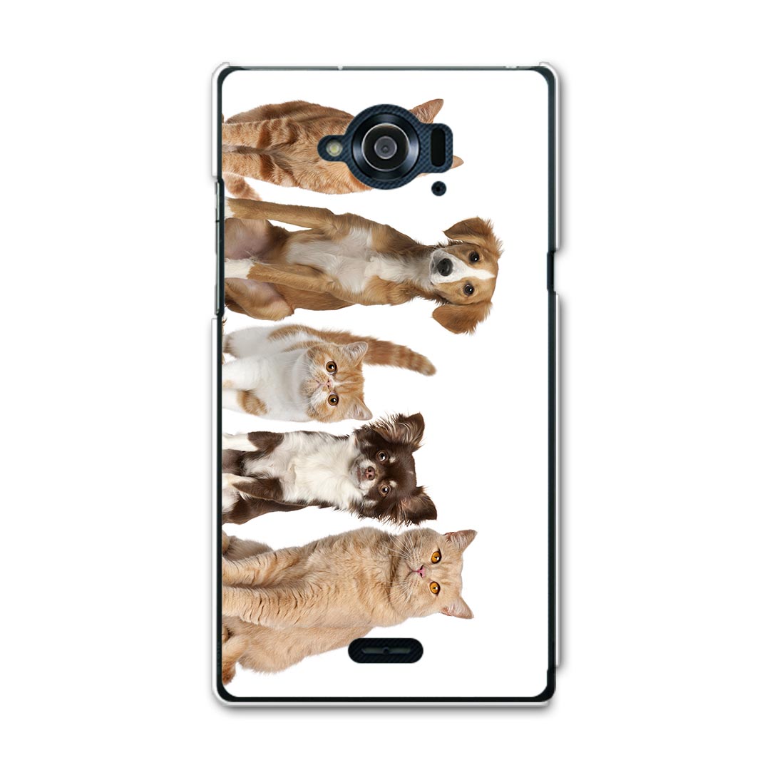 SH-01G AQUOS ZETA アクオスゼータ sh01g docomo ドコモ スマホ カバー ケース スマホケース スマホカバー TPU ソフトケース 犬　猫　動物　写真 アニマル 002789