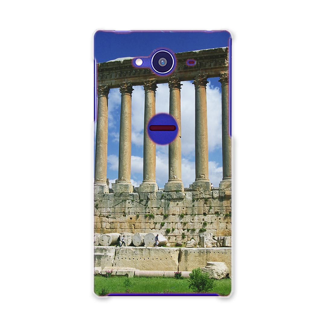 乐天商城 - SH-01H AQUOS ZETA アクオスゼータ sh01h docomo ドコモ スマホ カバー スマホケース スマホカバー TPU ソフトケース 外国　写真　景色　風景 その他 写真・風景 クール 003262