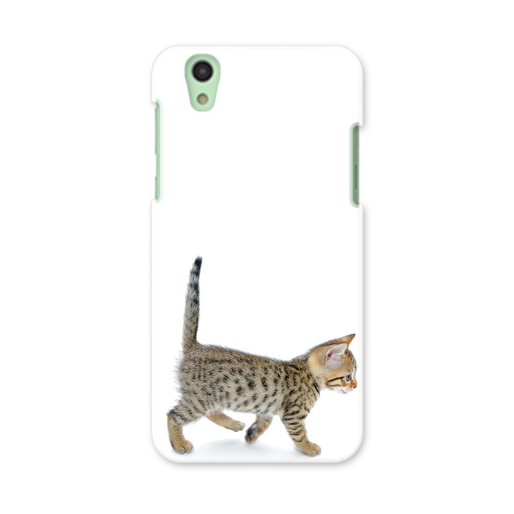 SH-01K AQUOS sense アクオス センス sh01k docomo ドコモ スマホ カバー スマホケース スマホカバー PC ハードケース ネコ　子猫 アニマル 000915