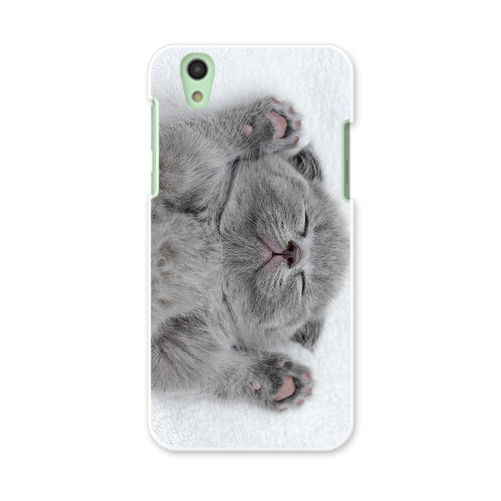 SH-01K AQUOS sense アクオス センス sh01k docomo ドコモ スマホ カバー スマホケース スマホカバー PC ハードケース 猫　動物　写真 011682
