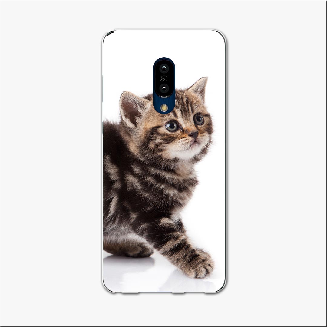 AQUOS zero2 アクオス ゼロツー aquoszero2 ソフトバンク softbank スマホ カバー ケース スマホケース スマホカバー TPU ソフトケース 005930 写真　動物　猫　ねこ