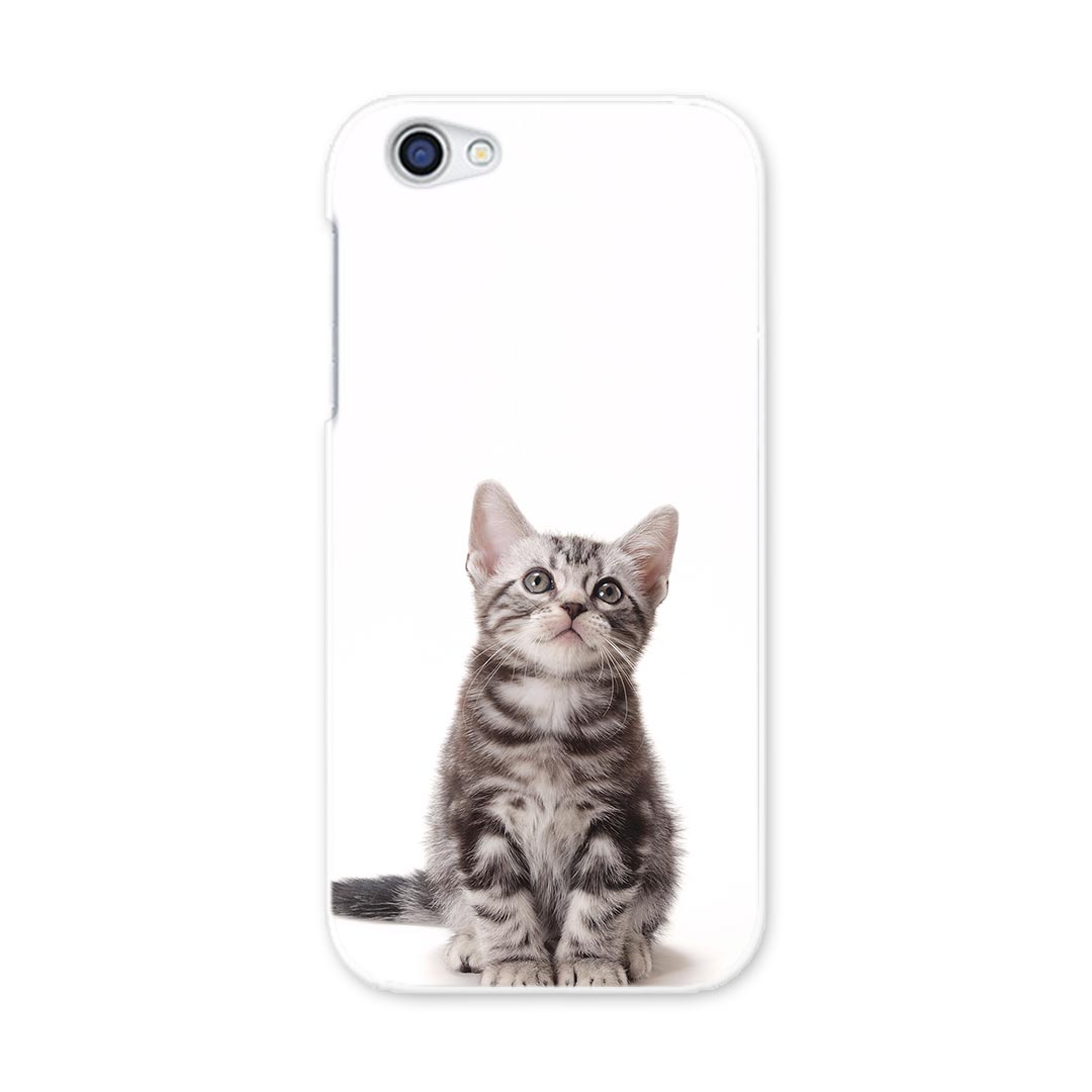 SH-03J AQUOS R アクオス R sh03j docomo ドコモ スマホ カバー スマホケース スマホカバー PC ハードケース 猫　アメリカンショートヘア アニマル 001070