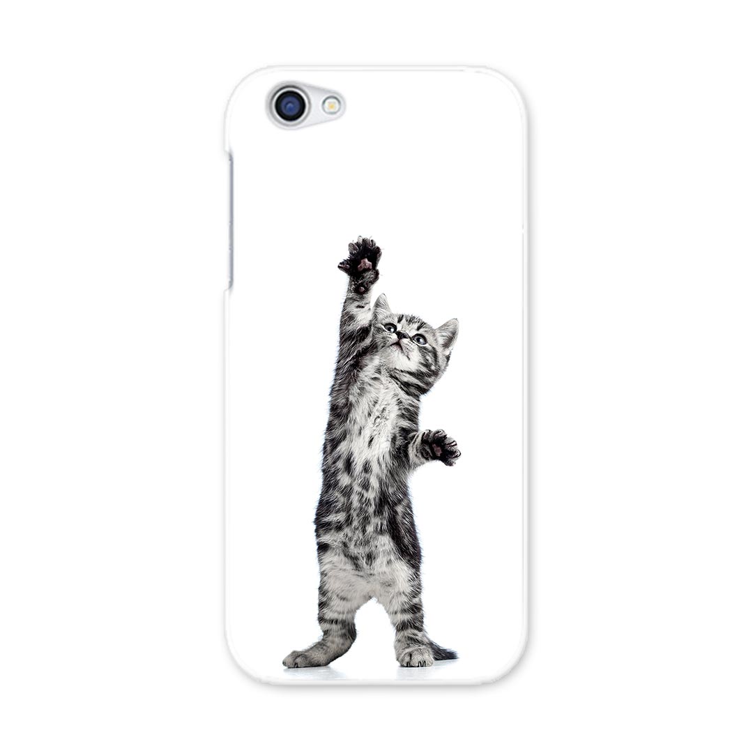 SH-03J AQUOS R アクオス R sh03j docomo ドコモ スマホ カバー スマホケース スマホカバー PC ハードケース ネコ　動物 アニマル 001200