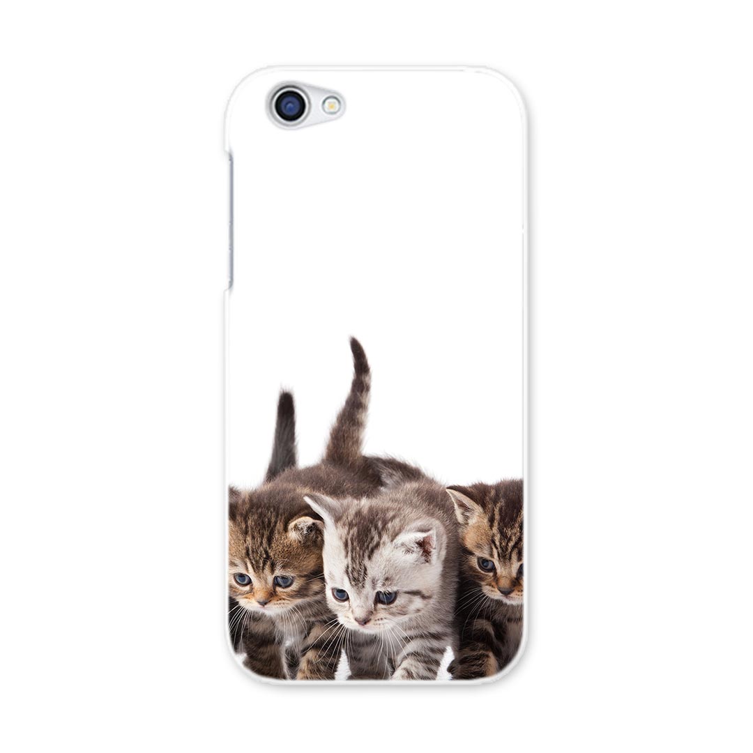 SH-03J AQUOS R アクオス R sh03j docomo ドコモ スマホ カバー ケース スマホケース スマホカバー PC ハードケース 写真　動物　猫　ねこ アニマル 写真・風景 005928