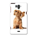 SH-04F AQUOS ZETA アクオスゼータ sh04f docomo ドコモ スマホ カバー ケース スマホケース スマホカバー TPU ソフトケース 犬 ダックスフント 動物 アニマル 001245(2)