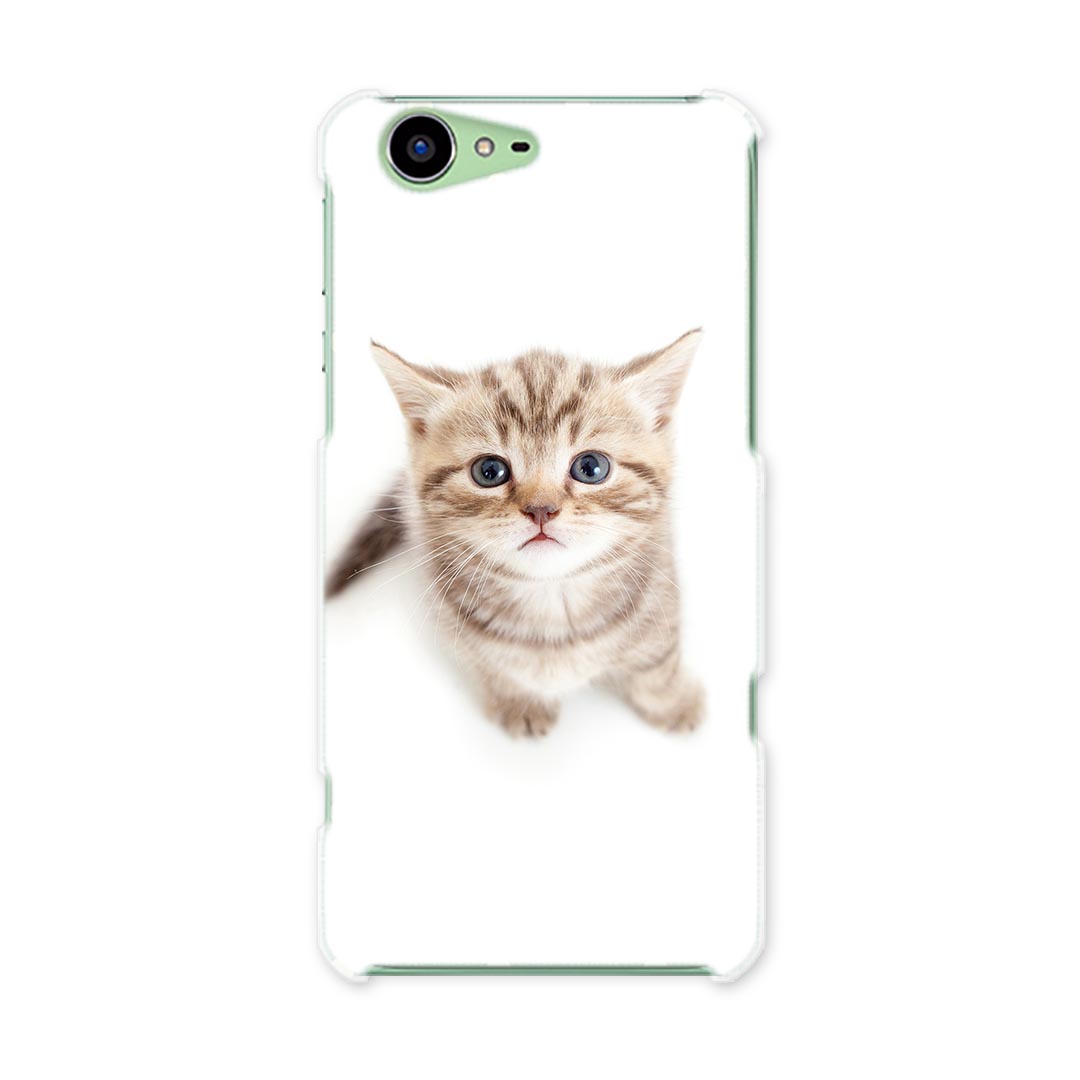 SH-04H AQUOS ZETA アクオスフォン ゼータ sh04h docomo ドコモ スマホ カバー スマホケース スマホカバー PC ハードケース ネコ　動物 アニマル 001194