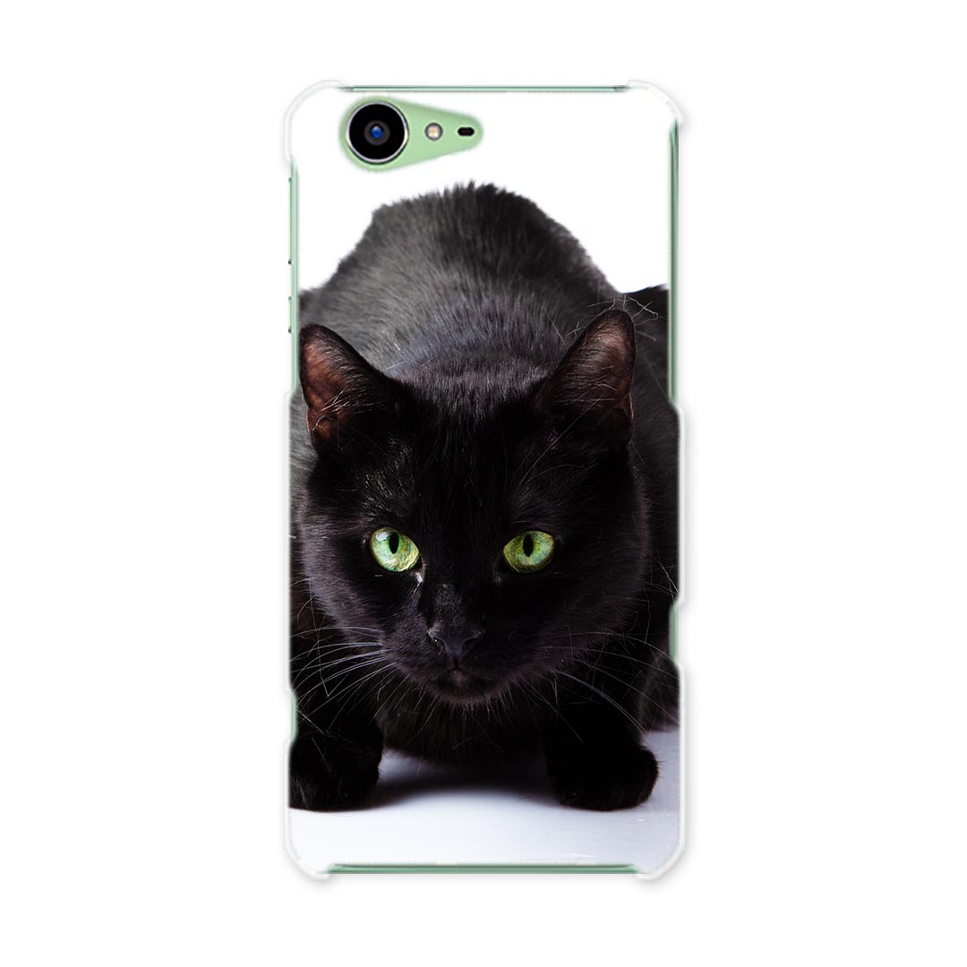 SH-04H AQUOS ZETA アクオスフォン ゼータ sh04h docomo ドコモ スマホ カバー スマホケース スマホカバー PC ハードケース 写真　動物　ねこ　猫 写真・風景 アニマル 005958