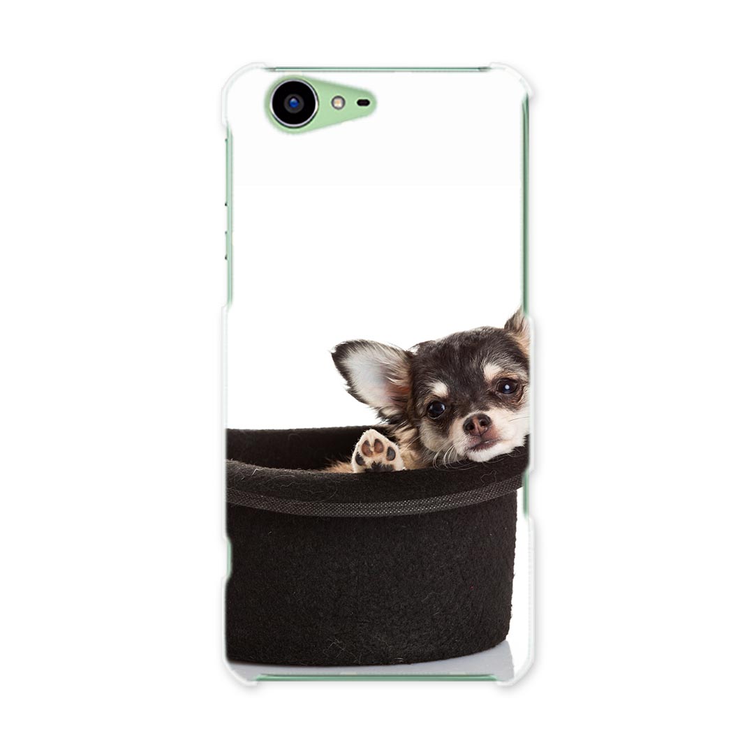 SH-04H AQUOS ZETA アクオスフォン ゼータ sh04h docomo ドコモ スマホ カバー スマホケース スマホカバー PC ハードケース 写真 犬 動物 アニマル 写真 風景 006481